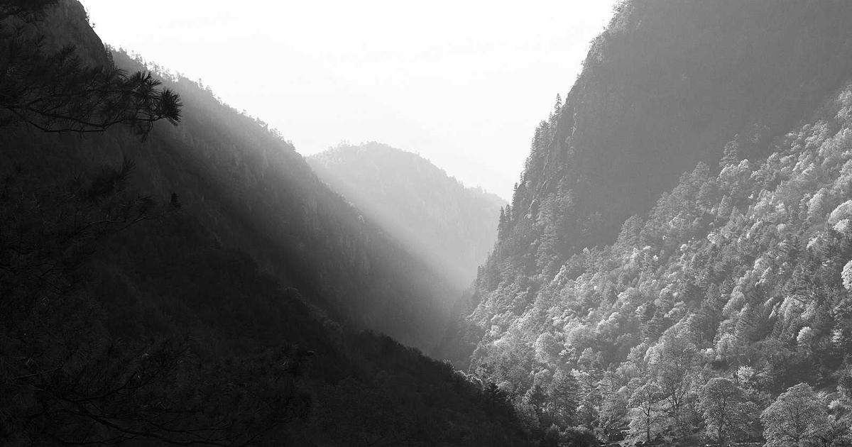 Birdwatching in Guatemala: A Complete Guide for Beginners and Experts