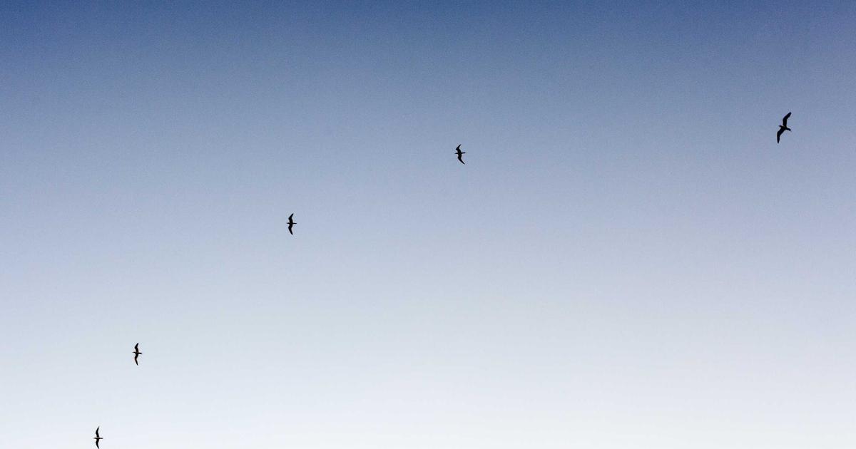 Guatemala Coffee Regions: A Complete Guide to the Best Beans in Central America