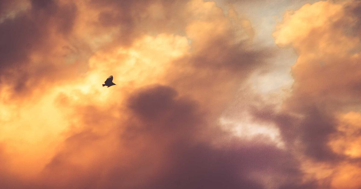 10 Hidden Waterfalls in Guatemala You Need to Visit