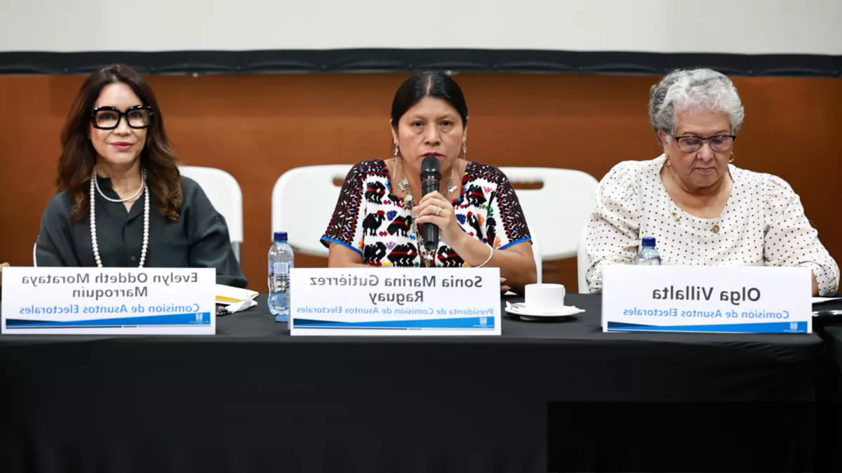 Magistrados del TSE se reunieron con diputados de la Comisión de Asuntos Electorales