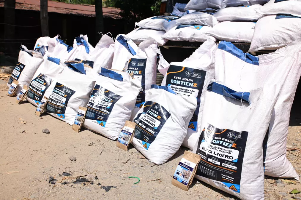 Entrega oportuna de semillas fortalece la agricultura familiar en Guatemala