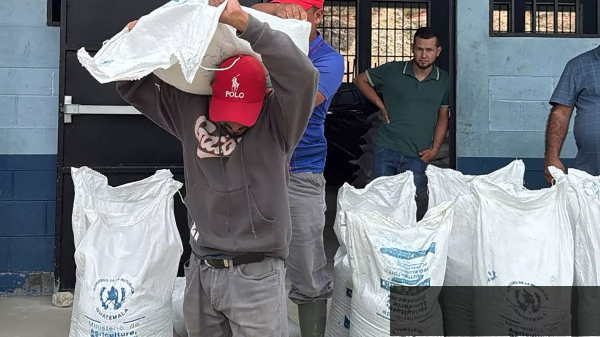 MAGA confirma que no entregará fertilizantes a agricultores este año