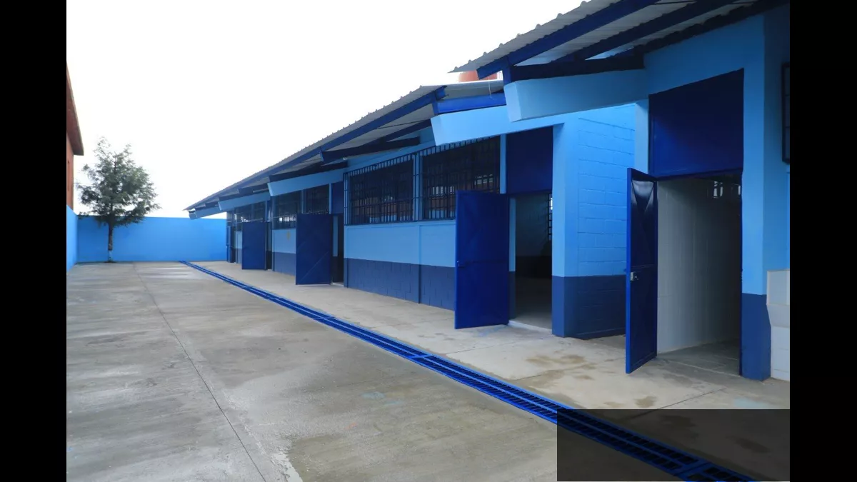 Mineduc remoza más del 70% de las escuelas públicas: 25 mil centros transformados