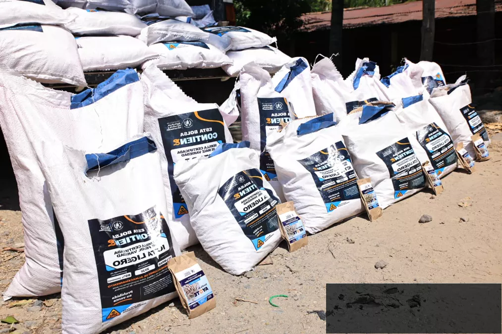 Entrega oportuna de semillas fortalece la agricultura familiar en Guatemala