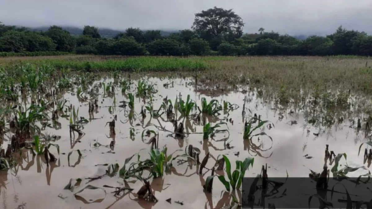 Diputados exigen estrategias claras del Ejecutivo ante emergencias climáticas